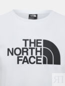 Футболка The North Face 481096-044 фото 3