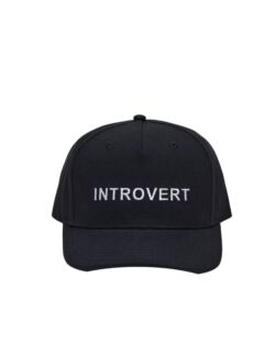 Бейсболка "Introvert"