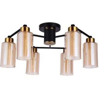 Потолочная люстра на штанге Arte Lamp Leo A7027PL-6BK