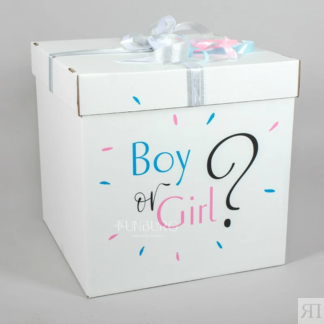 Большая коробка с мини-шариками «Boy or Girl?»