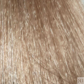 Крем-краска для волос Icolori (16801-9.93, 9.93, лесной орех очень светлый