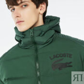 Мужская куртка Lacoste фото 4