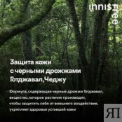 INNISFREE Мужская пена для бритья и умывания 2 в 1 Forest