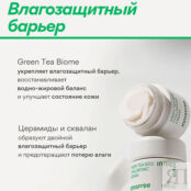 INNISFREE Увлажняющий крем с экстрактом семян зеленого чая и гиалуроновой к