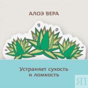 INDIBIRD Шампунь аюрведический Алое Вера и Моринга с протеинами шелка и кер