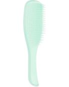 Расческа Tangle Teezer The Wet Detangler Fine & Fragile Sea Spray Green 6460611 фото 1